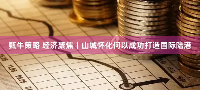 甄牛策略 经济聚焦丨山城怀化何以成功打造国际陆港