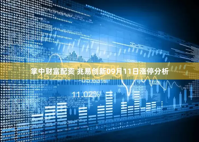 掌中财富配资 兆易创新09月11日涨停分析