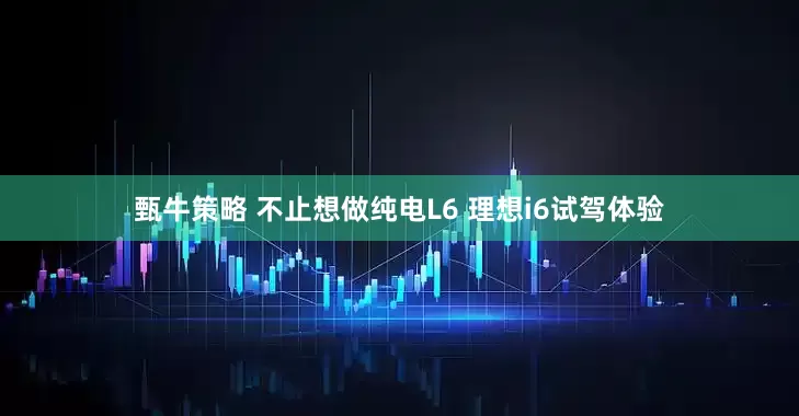 甄牛策略 不止想做纯电L6 理想i6试驾体验