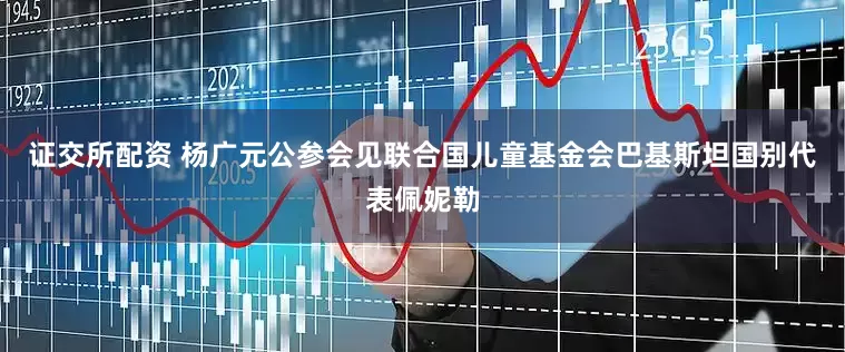 证交所配资 杨广元公参会见联合国儿童基金会巴基斯坦国别代表佩妮勒